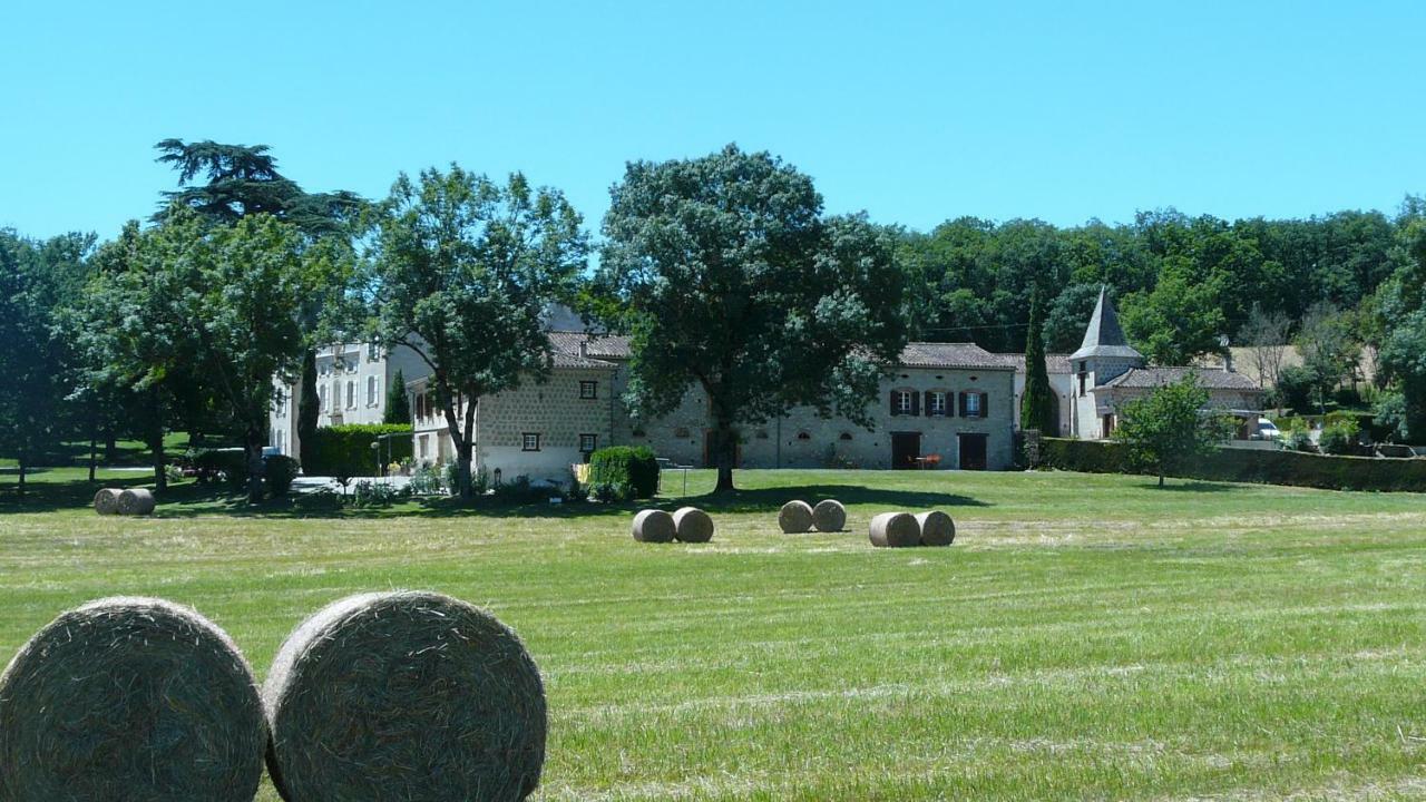 Chateau De La Bousquetarie Lempaut Exterior photo